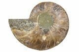 Cut & Polished Ammonite Fossil (Half) - Deep Crystal Pockets #345636-1